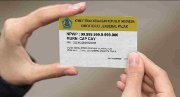 cara membuat npwp online